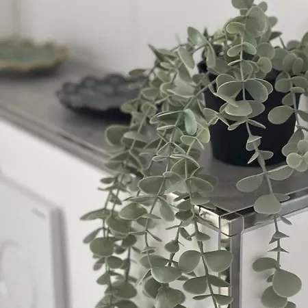 Apartment Pearl 7 Nordsee Park Dangast